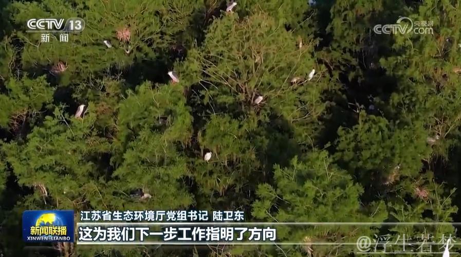 习近平：凝聚力量共创美丽中国 让大地更显绿色生机