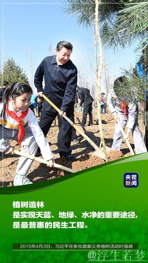 习近平：凝聚力量共创美丽中国 让大地更显绿色生机