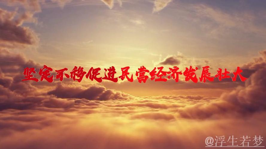 坚定发展信心 推动民营经济高质量成长